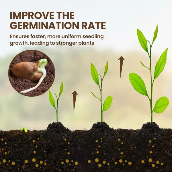 Plant and Flower Fertilizer