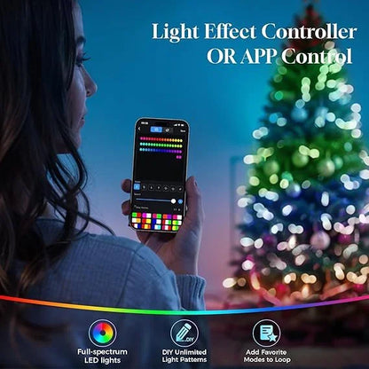 Lumina Fir