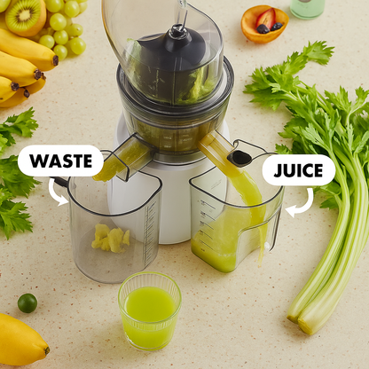 Ultra Maxx Juicer