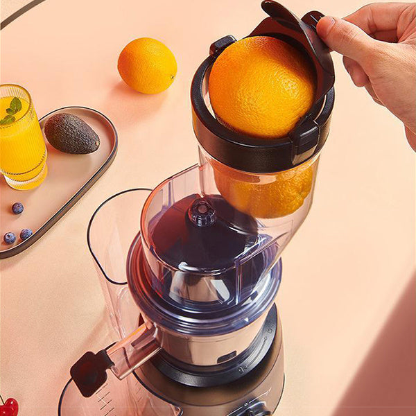 Ultra Maxx Juicer
