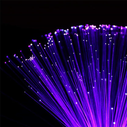 Multicolor LED Fiber Optic Lamp